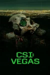 دانلود سریال CSI: Vegas | واحد تجسس: وگاس