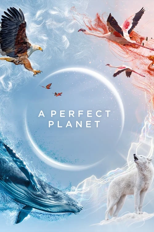 دانلود سریال A Perfect Planet | یک سیاره بی نقص