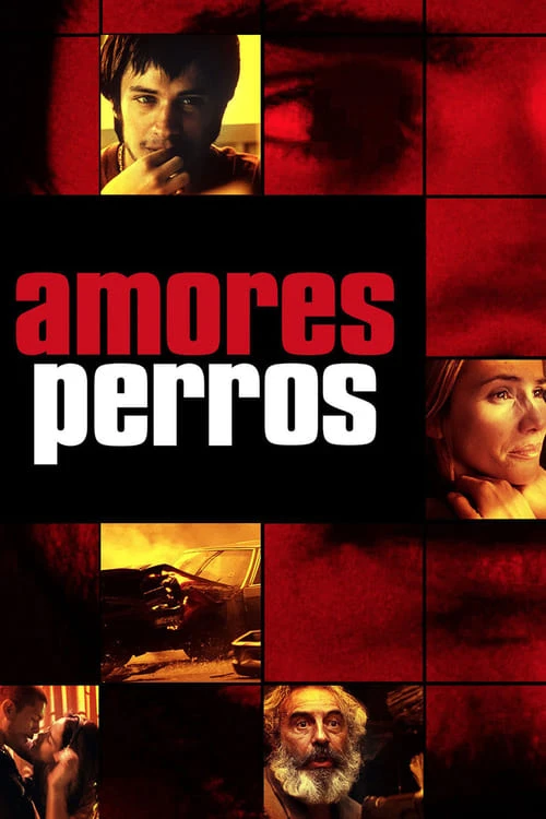 دانلود فیلم Amores Perros عشق سگی