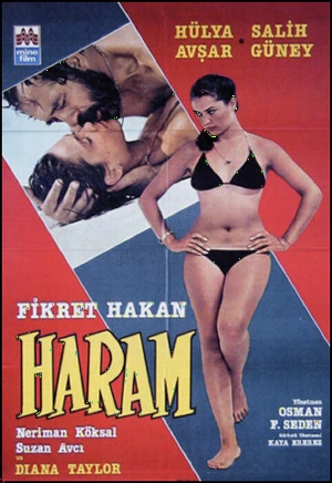 دانلود فیلم ترکی Haram | حرام