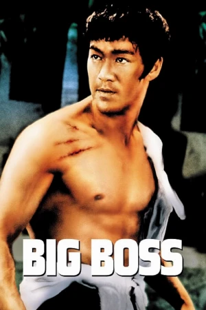 دانلود فیلم The Big Boss