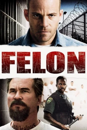 دانلود فیلم Felon – تبهکار