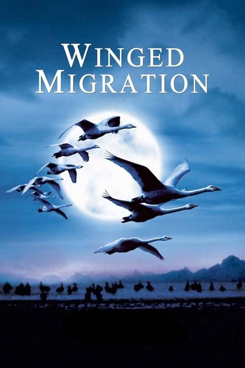 دانلود فیلم Winged Migration – مهاجرت بالدار