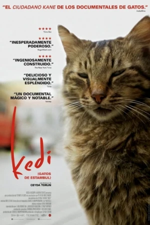 دانلود مستند ترکی Kedi گربه