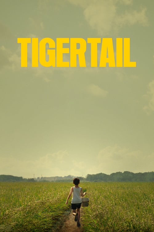 دانلود فیلم Tigertail 2020دم ببر بدون سانسور با لینک مستقیم