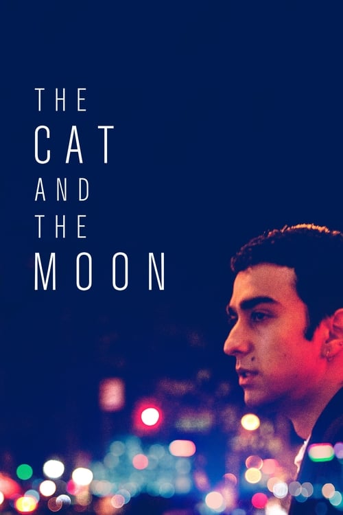 دانلود فیلم The Cat and the Moon – گربه و ماه